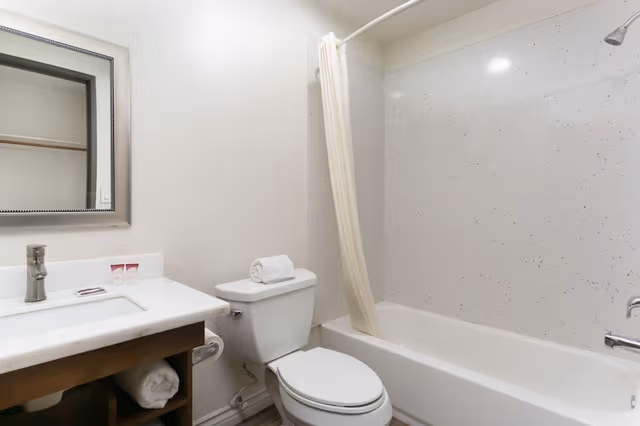 Single Room, 1 King Bed, Non Smoking, Jetted Tub