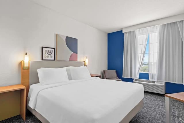 Room, 1 King Bed