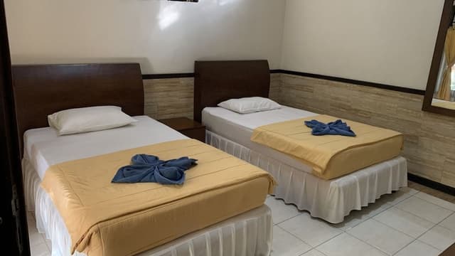 Superior Twin Room