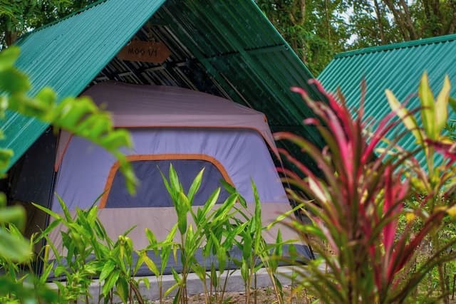 Tent Ing Nam