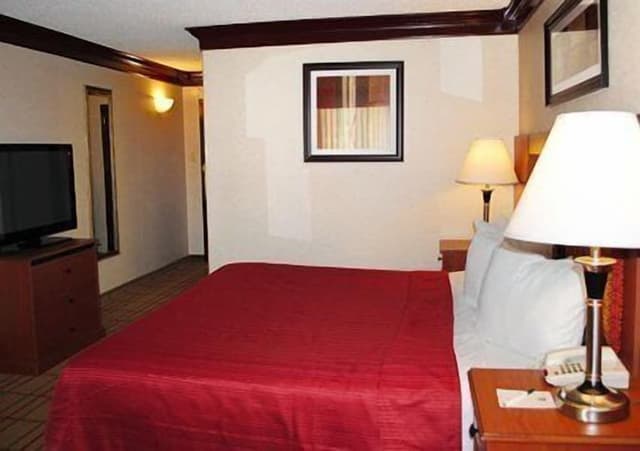 Standard Room, 1 King Bed, Non Smoking