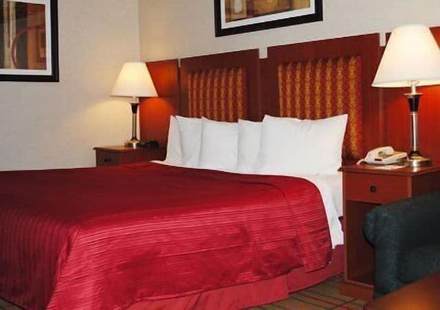 Standard Room, 1 King Bed, Non Smoking