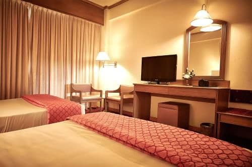 Deluxe Twin Bed