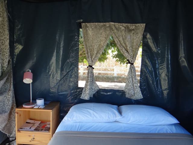 VIP Tent for 1 Person (Breakfast and Dinner Included)