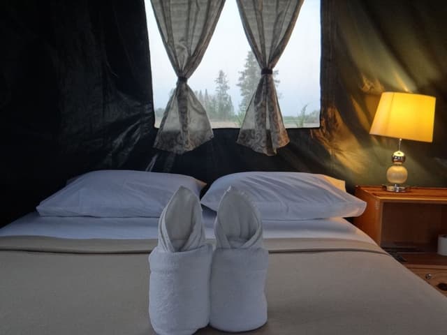 VIP Tent for 1 Person (Breakfast and Dinner Included)