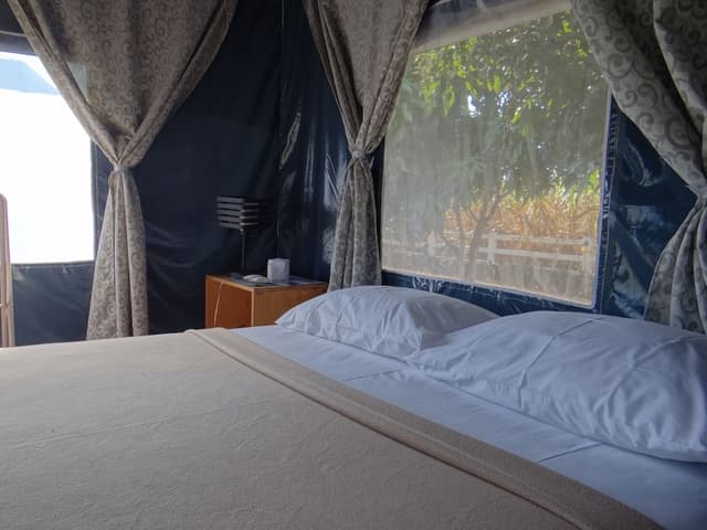 VIP Tent for 1 Person (Breakfast and Dinner Included)