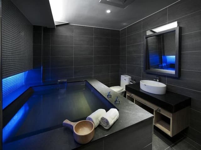 Luxury Double Room (with garage)