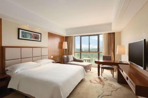 Deluxe King Room - Smoking