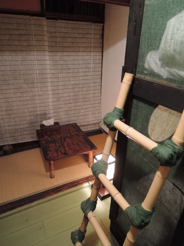 Twin Room with Shared Bathroom (Tigers)