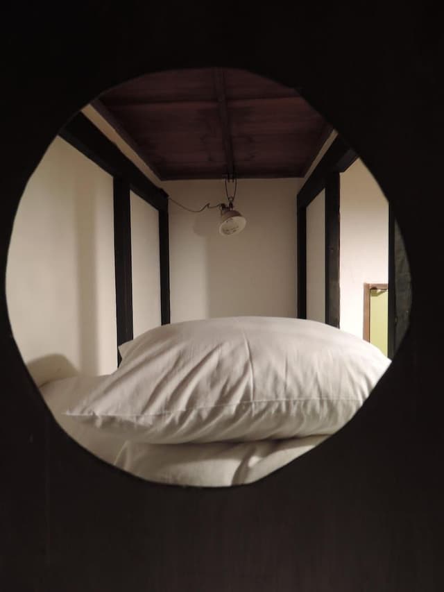 Twin Room with Shared Bathroom (Tigers)