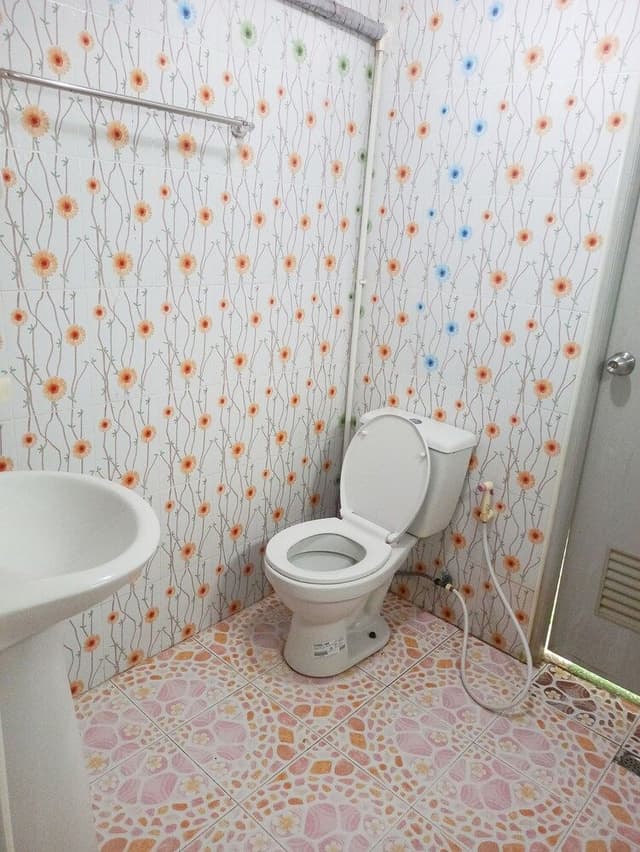 Basic Double or Twin Room
