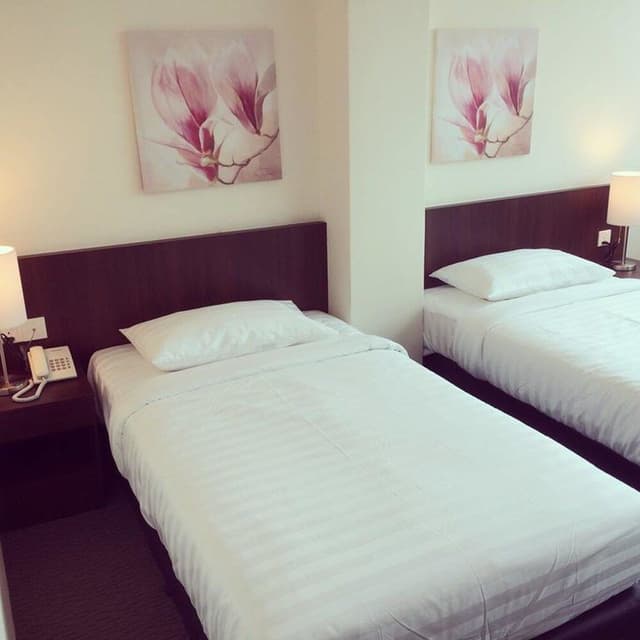 Superior Double or Twin Room, No Windows