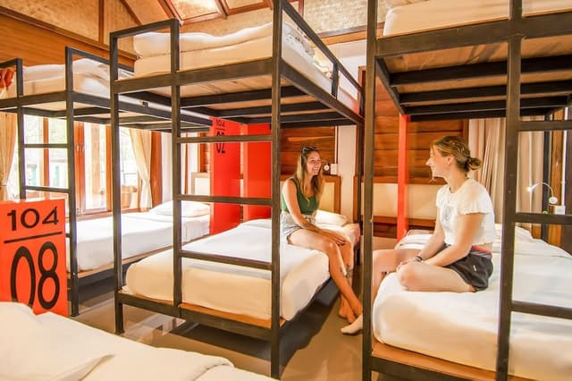 1 Bed In Standard 8 Bed Female Dorm