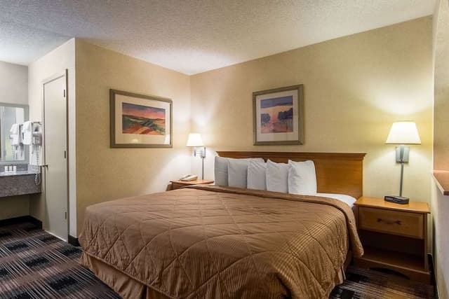 Standard Room, 1 King Bed, Non Smoking