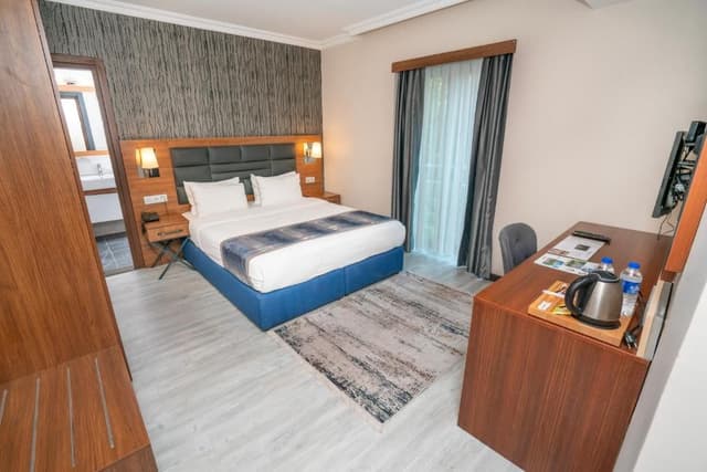 Standard Business Double Room