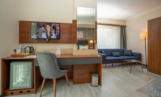Deluxe Double or Twin Room