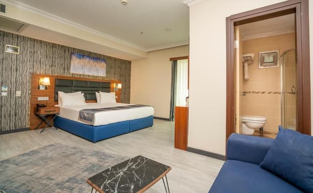Deluxe Double or Twin Room
