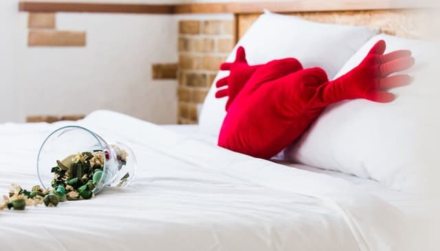 Double Room (VIP)