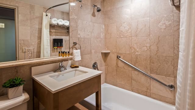 2 Double Beds, Non-Smoking, Wireless High-Speed Internet, Refrigerator, Coffee Maker
