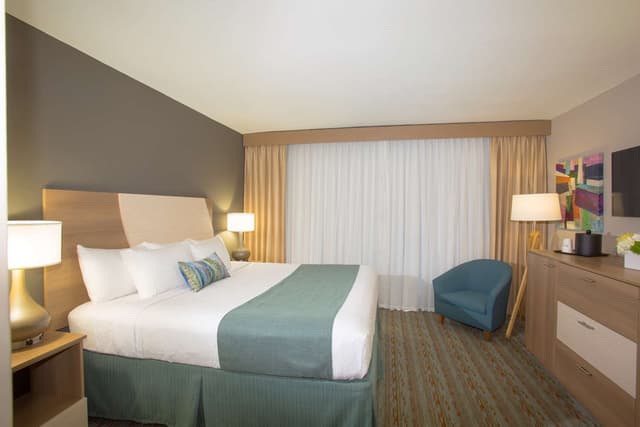 1 King Bed, Non-Smoking, Wireless High-Speed Internet, Refrigerator, Coffee Maker