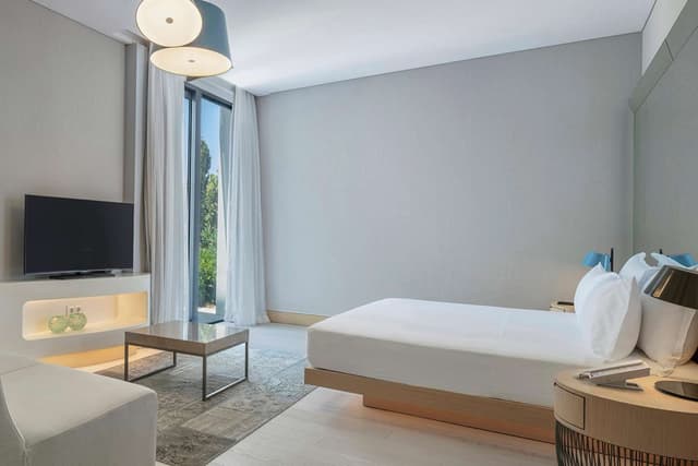 AEGEAN SUITE WITH PRIVATE POOL