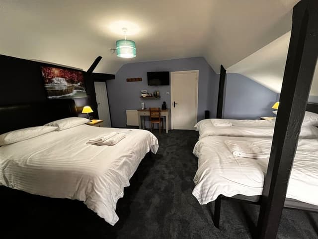 Family Room, Ensuite (Blue)