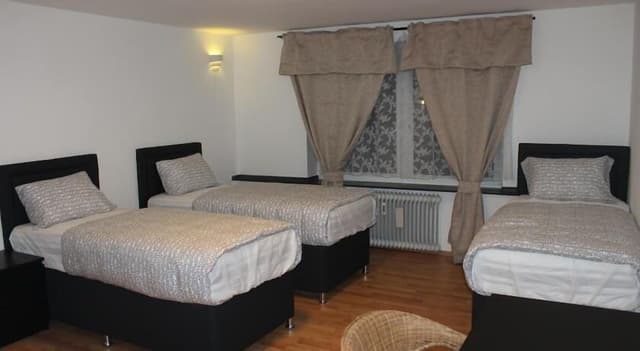 Deluxe Double or Twin Room, Private Bathroom