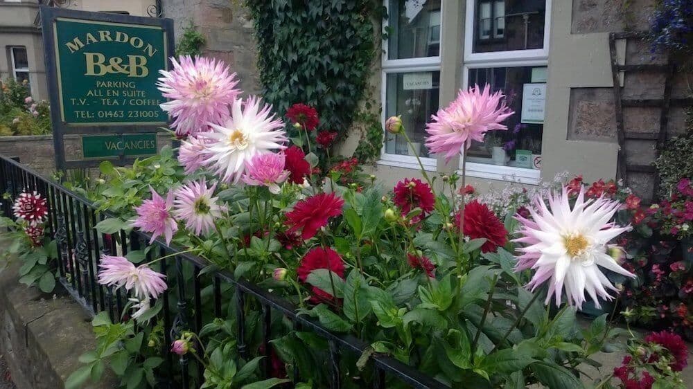 Mardon Guest House Mardon Guest House
