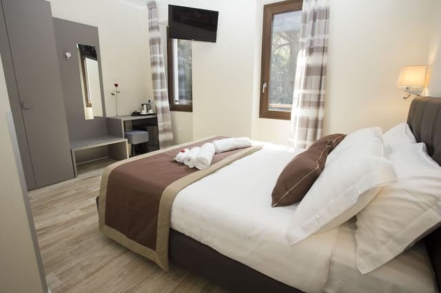 Classic Double Room