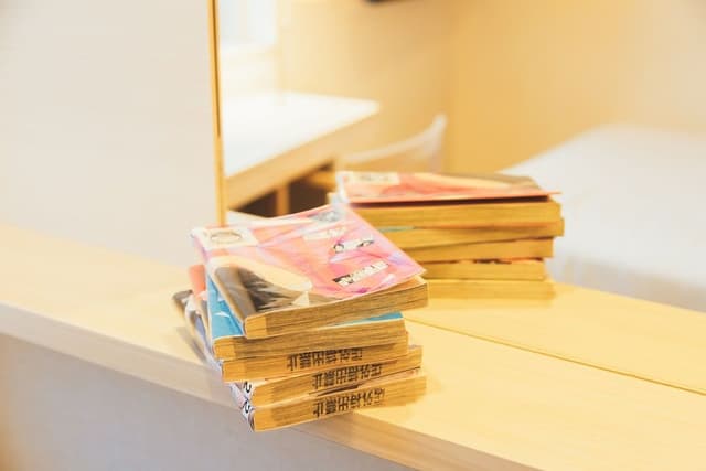 [Free CurryRice&Salad] [Manga Library w/11000 books] Semidouble Room,Non Smoking