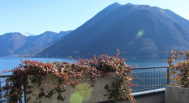 Apartment, 1 Bedroom, Terrace, Lake View