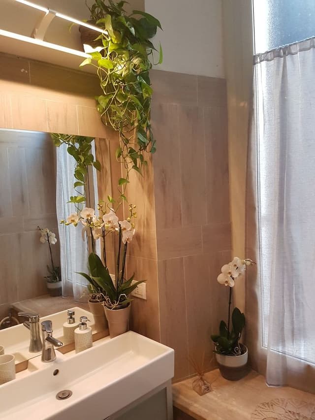 Deluxe Double or Twin Room (with hydromassage shower)