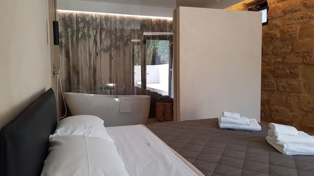 Luxury Suite