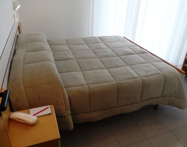 Basic Double or Twin Room