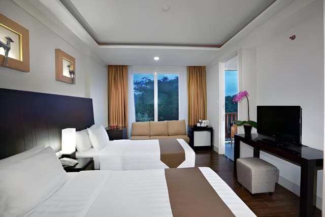 Deluxe Double or Twin Room