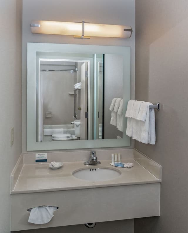 Suite, 1 King Bed with Sofa bed