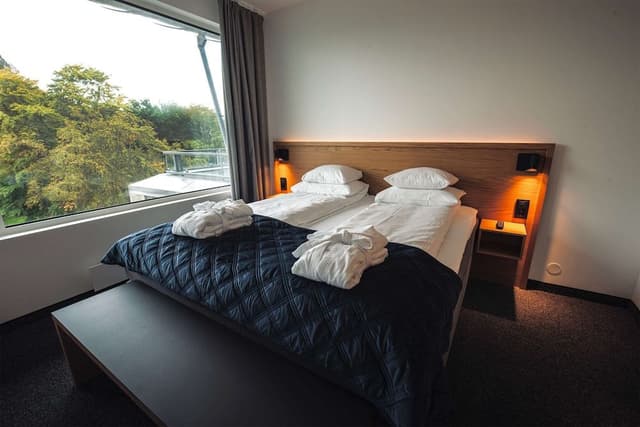 Junior Double Room