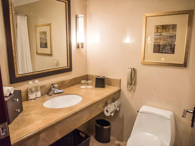 Deluxe Room, Guest room, 2 Twin