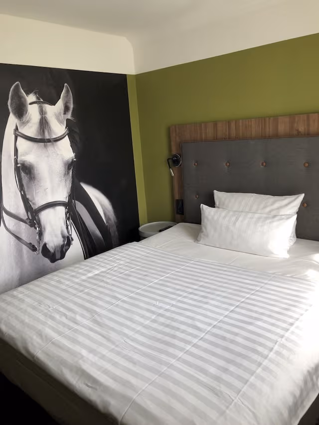 Comfort Single Room