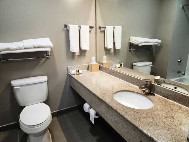 Standard Room, 2 Queen Beds, Roll-in Shower, Non Smoking