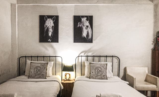 Standard Twin Room