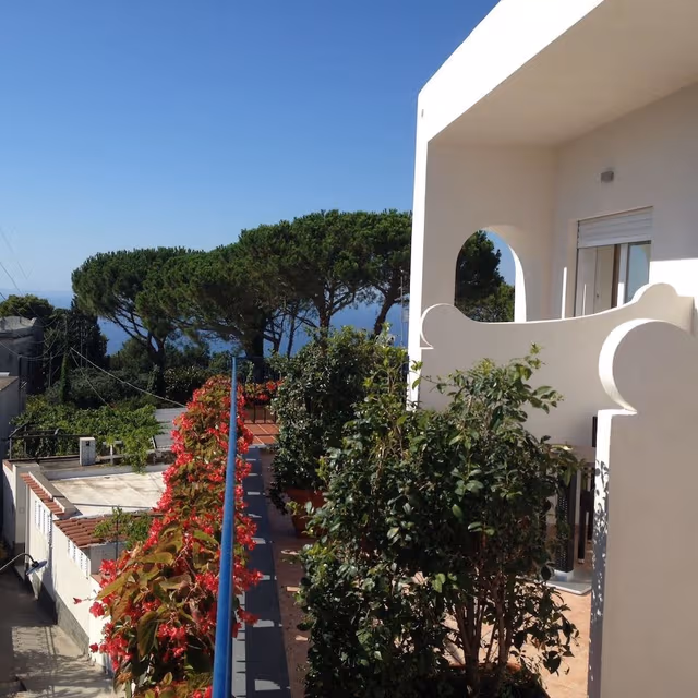 Standard Double Room, Balcony
