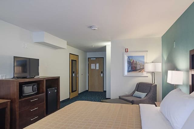 Standard Room, 1 King Bed, Non Smoking