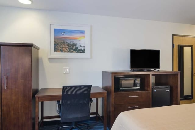 Standard Room, 1 King Bed, Non Smoking