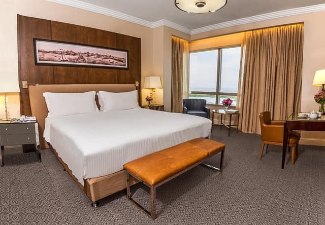 Deluxe Double or Twin Room with City View