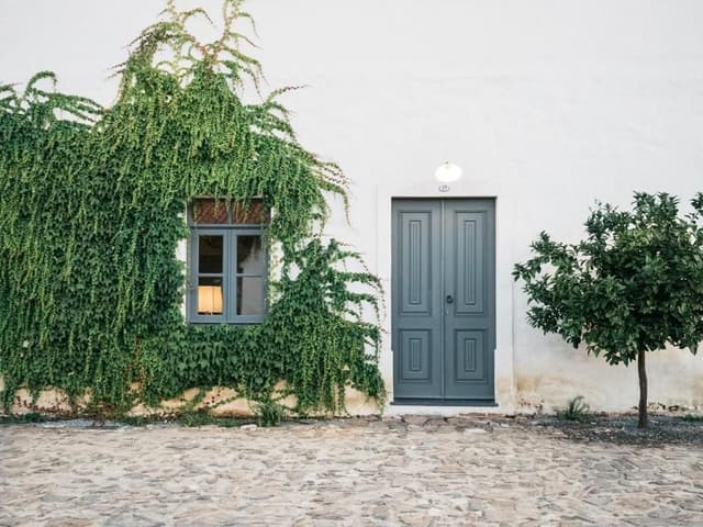 Two-Bedroom House - Yard