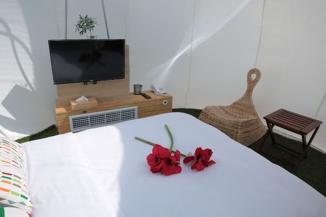 Luxury Bubble Tent