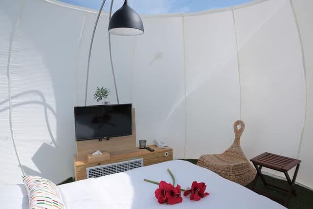 Luxury Bubble Tent