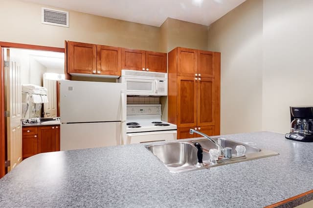 Condo, 1 Bedroom (Mountain View)