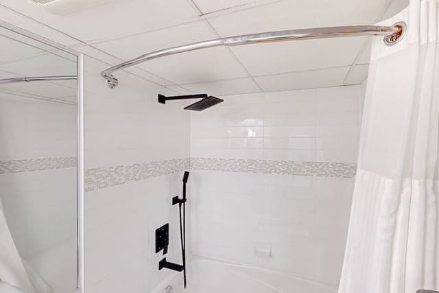 Condo, 1 Bedroom (Mountain View)